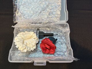 Ribbon to CarnationJPEG.jpg